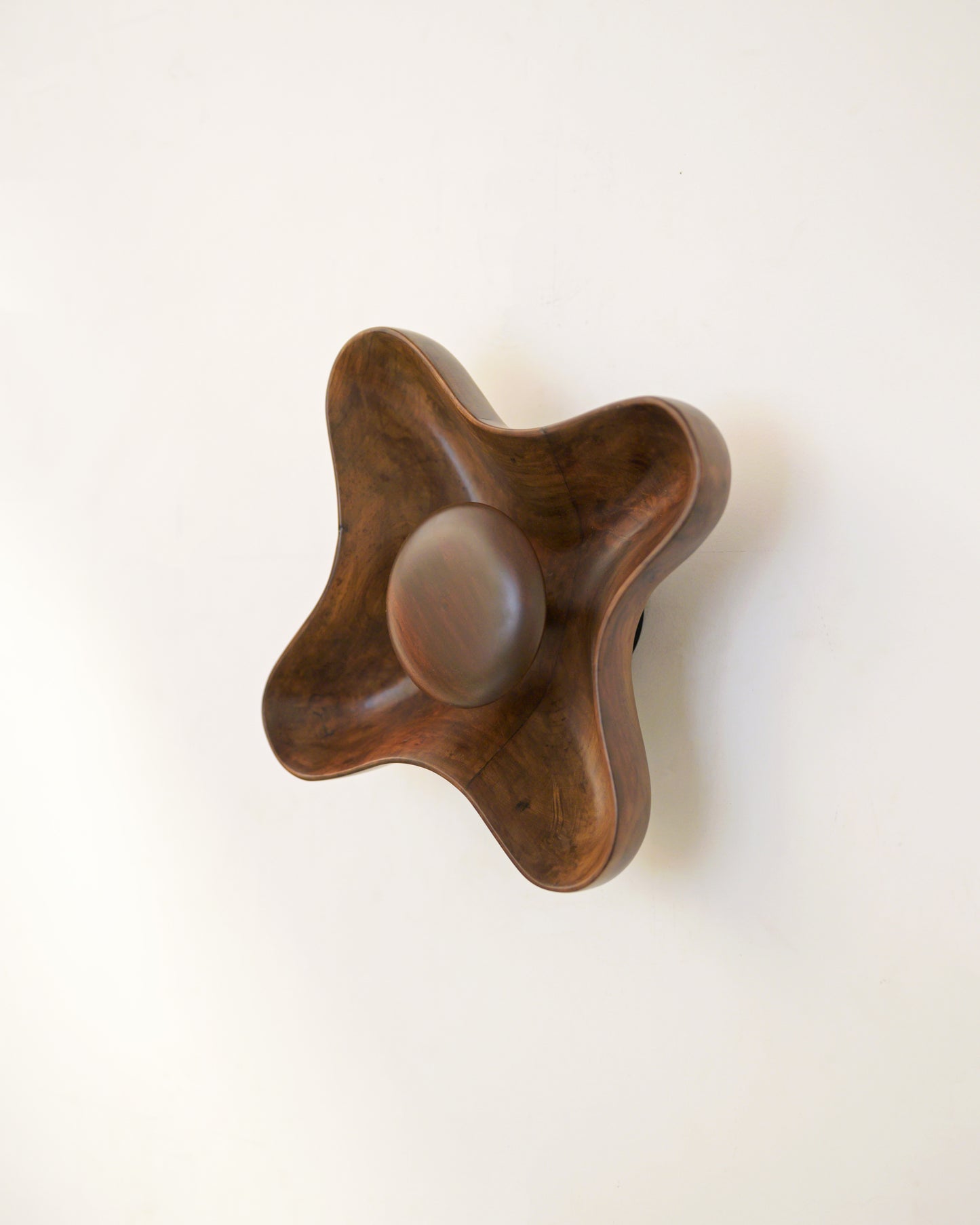 Compass Wall Light