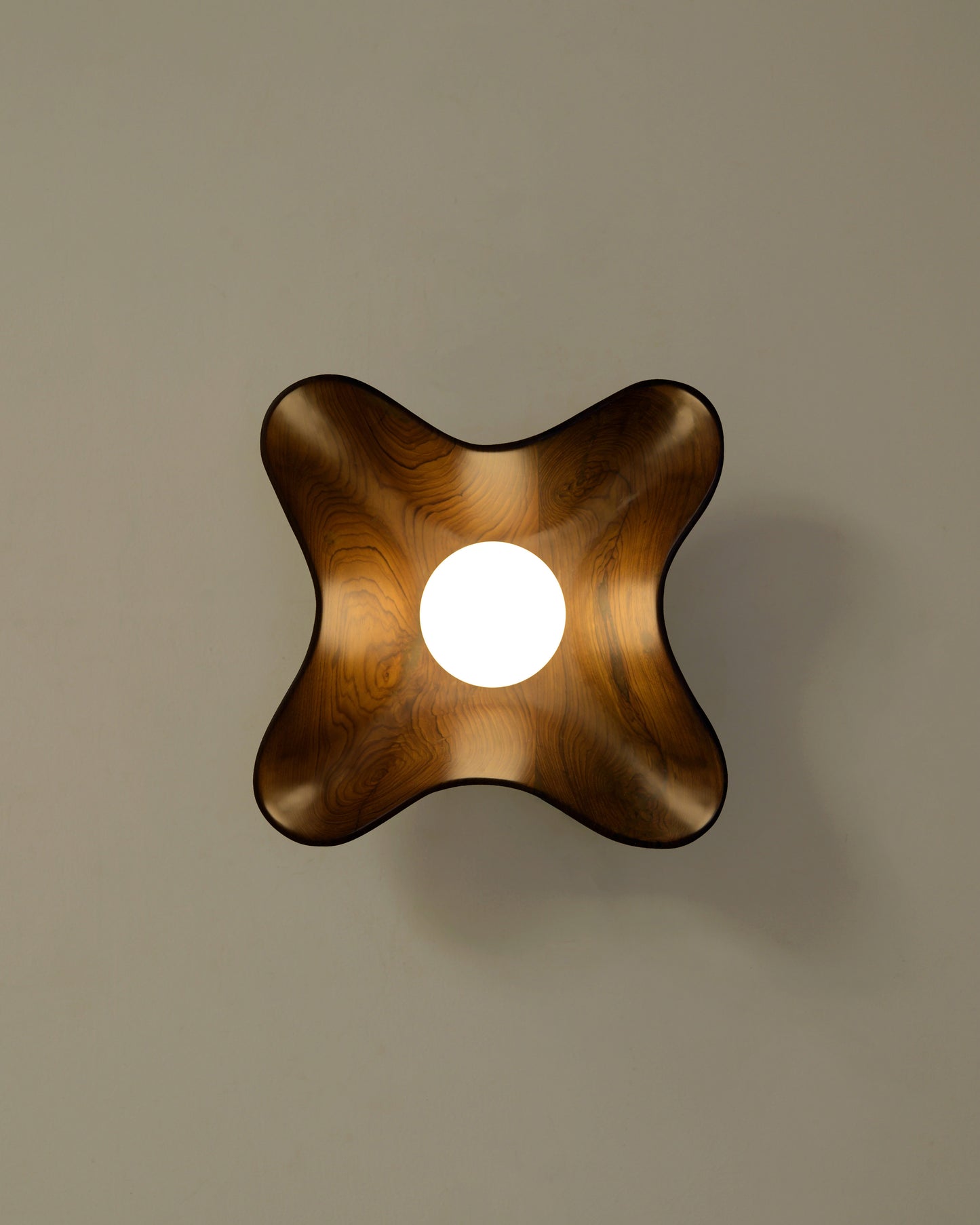 Compass Wall Light