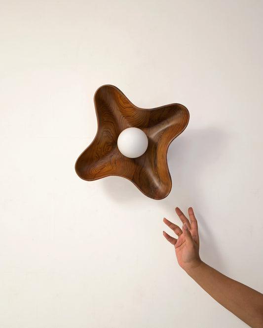 Compass Wall Light